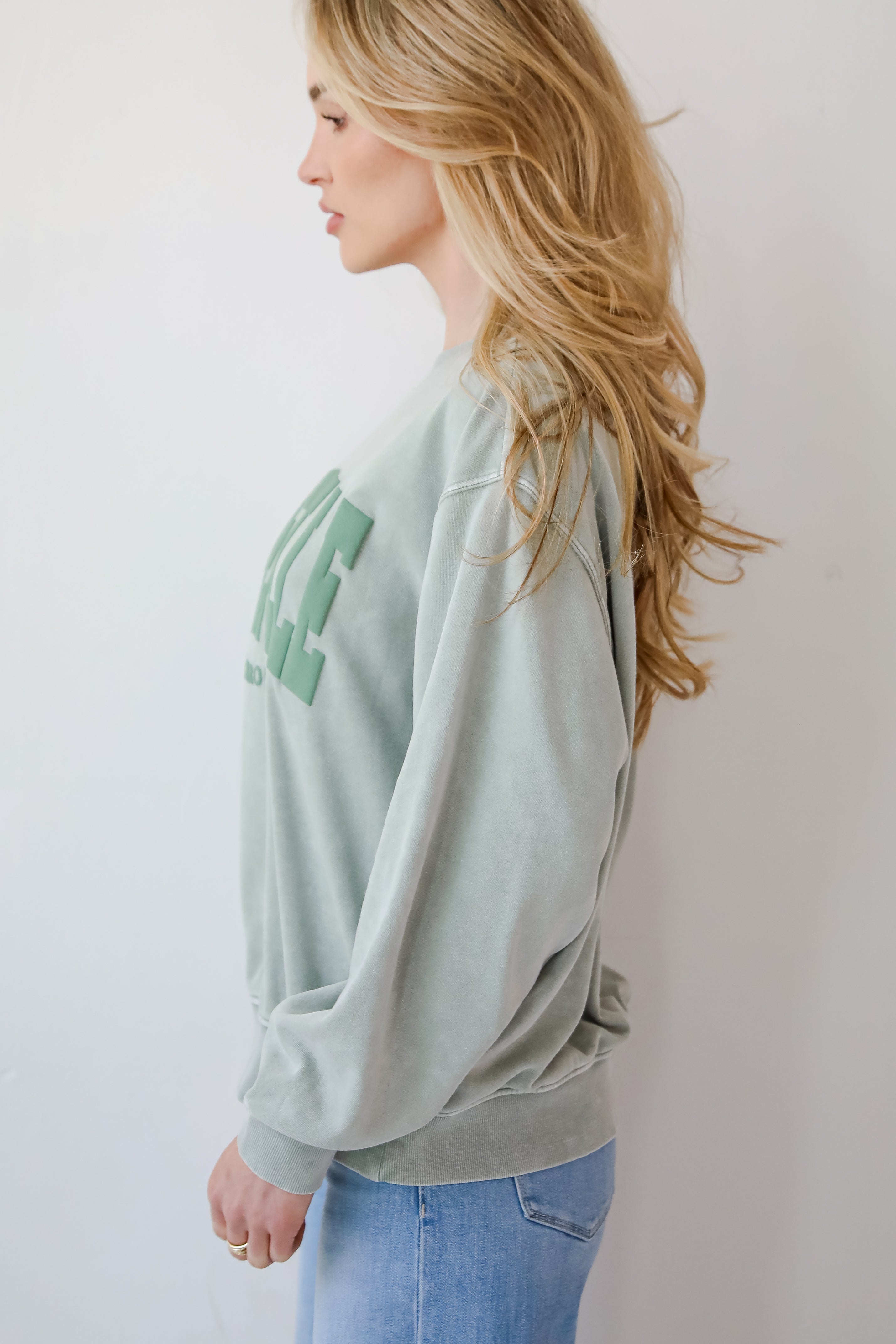 Greenville South Carolina Sweatshirt