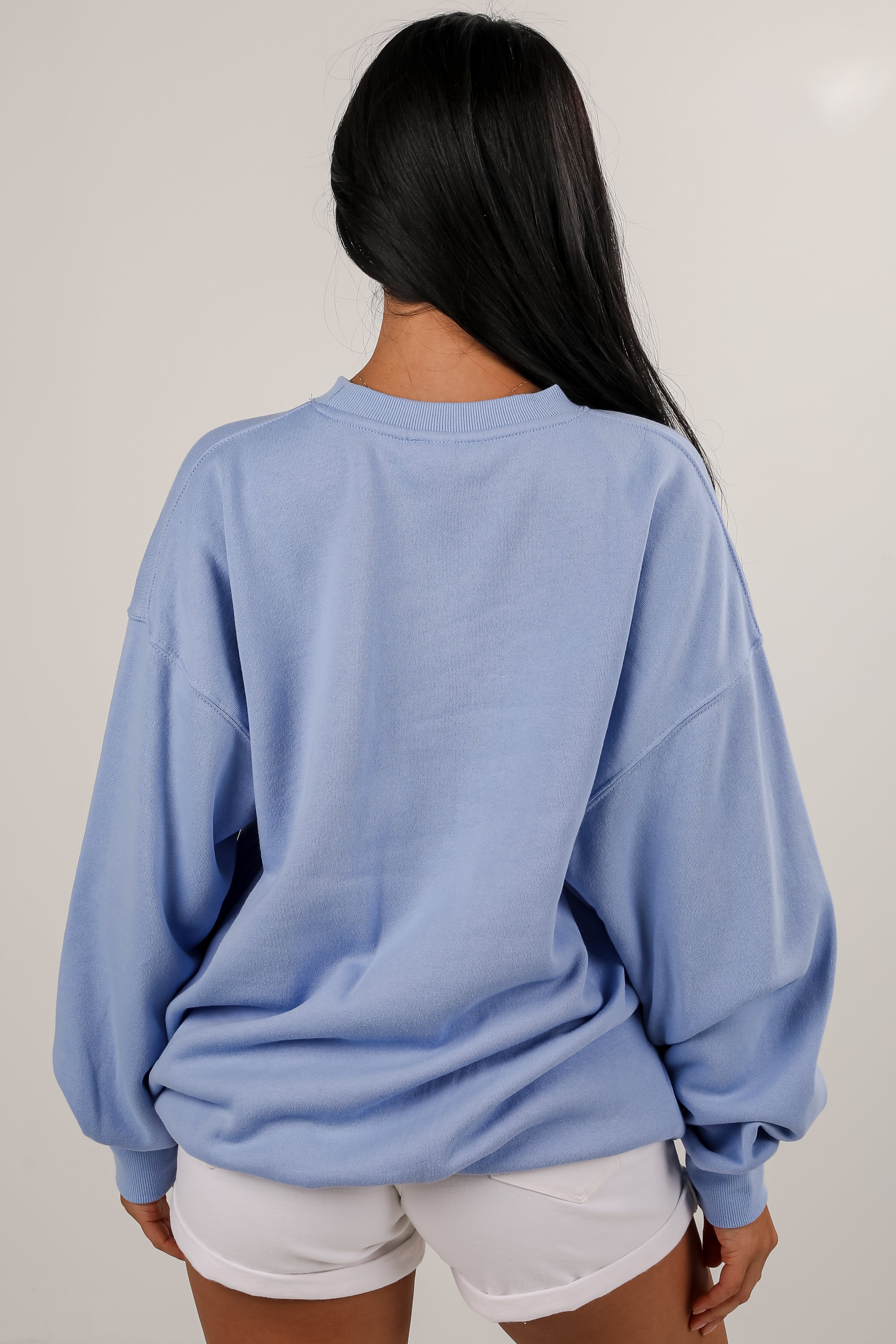 Light Blue Greenville South Carolina Sweatshirt