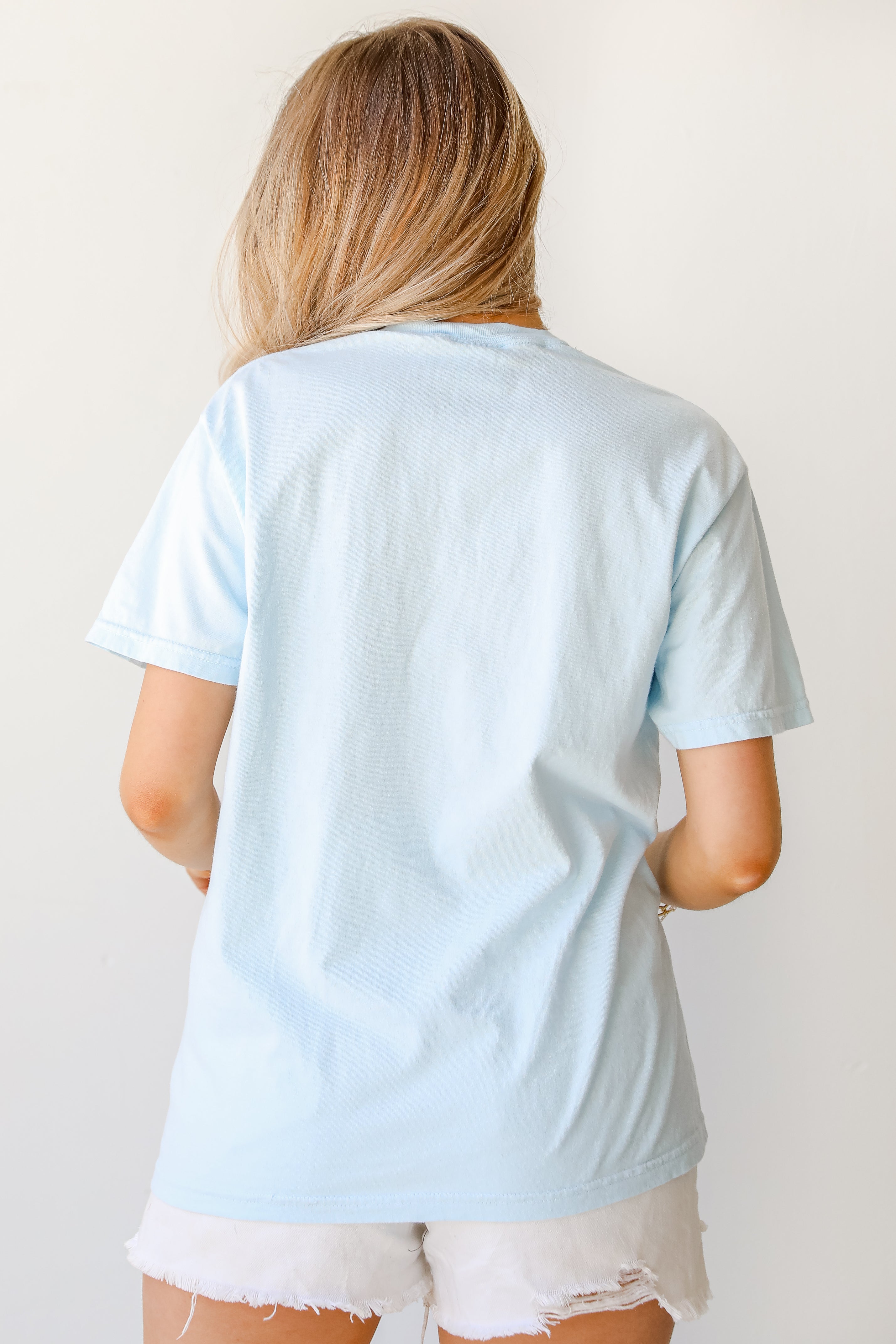 Light Blue Greenville South Carolina Tee back view