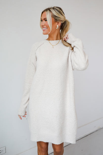 Addison Fuzzy Knit Mini Sweater Dress