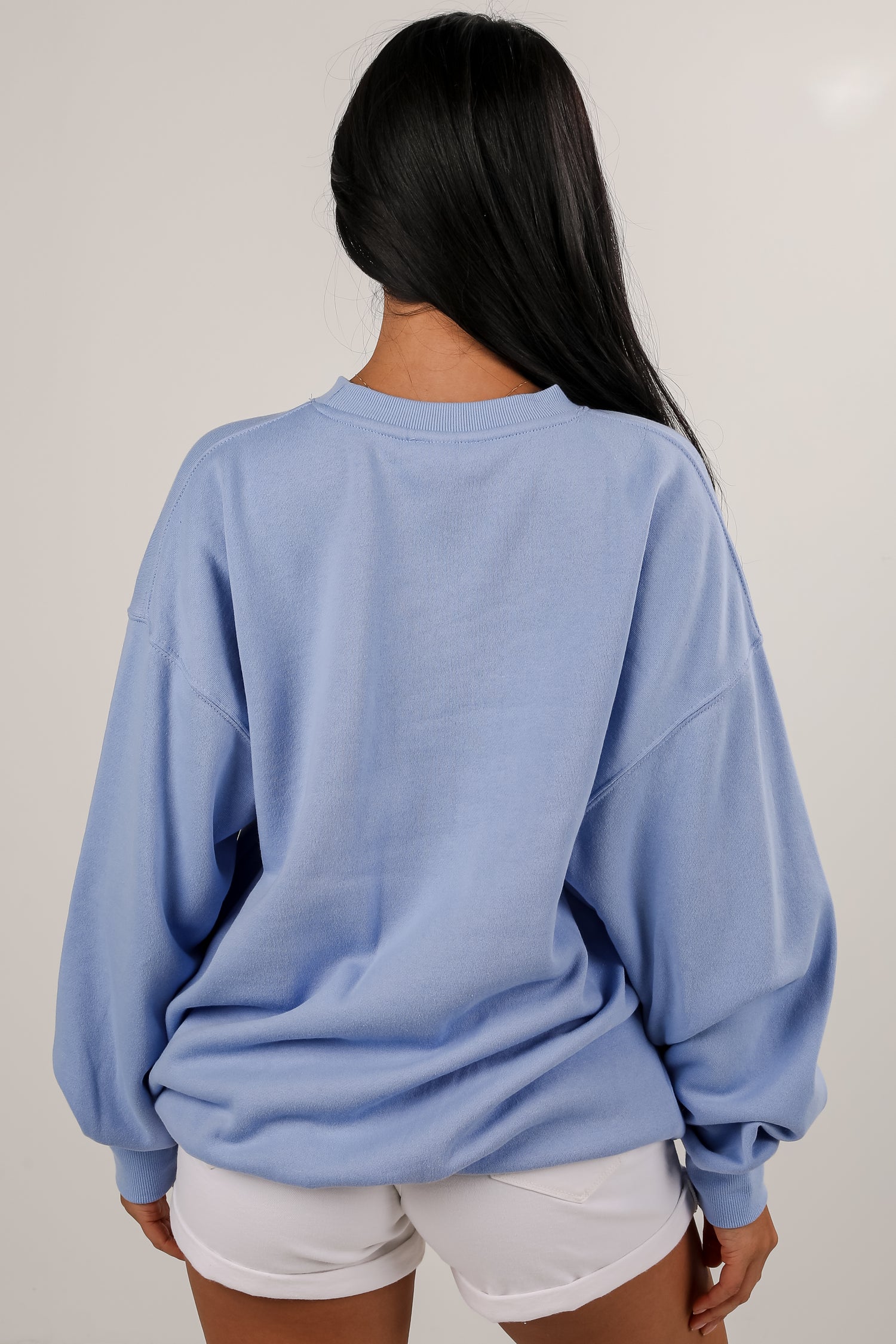 Light Blue Greenville South Carolina Sweatshirt