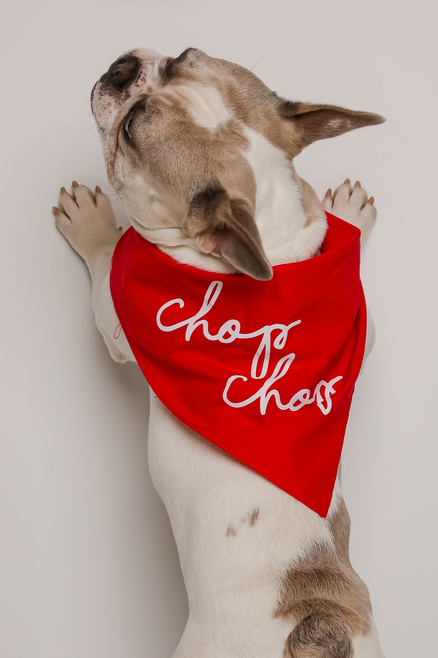 Red Chop Chop Script Dog Bandana