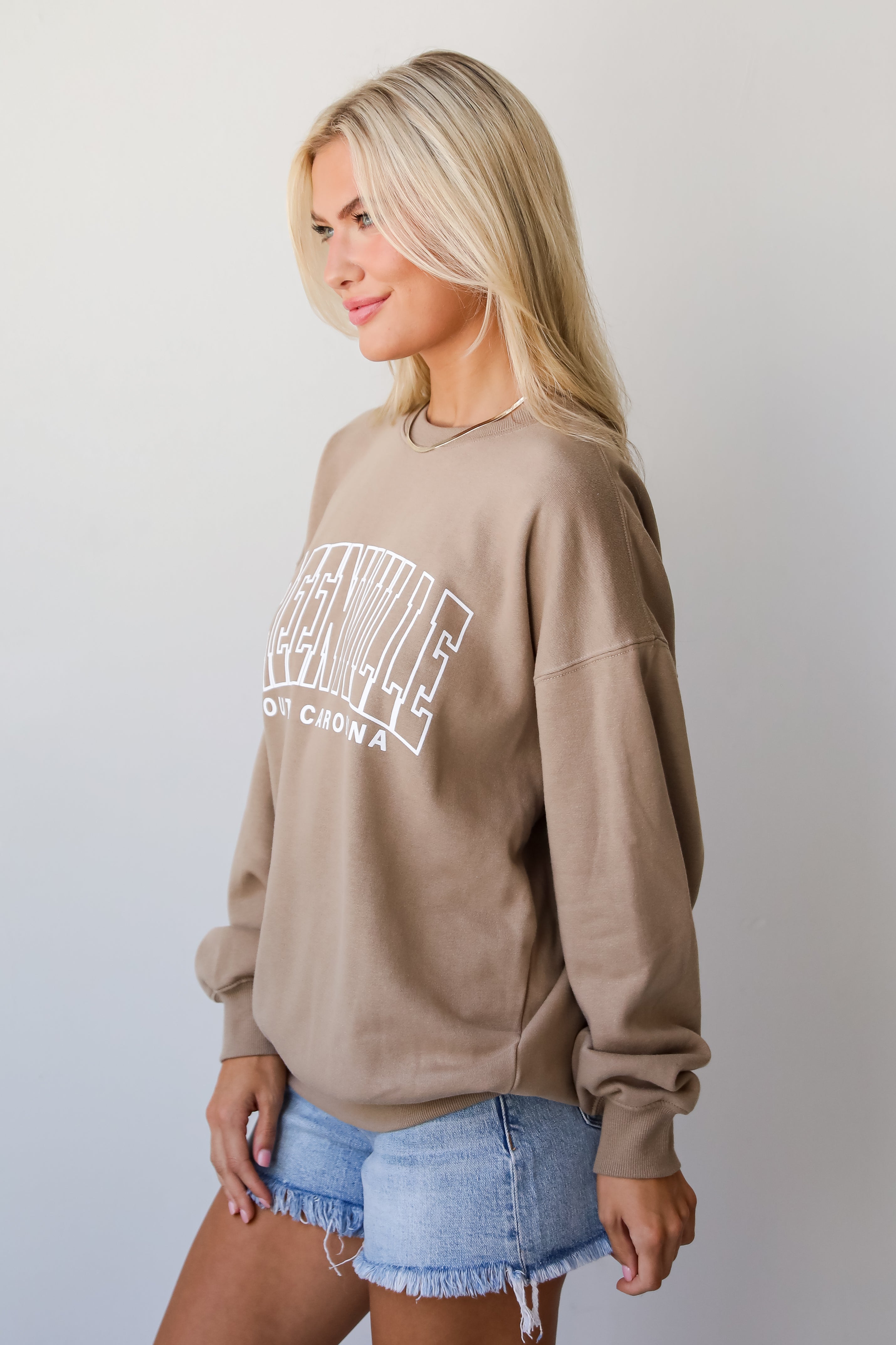 Tan Greenville South Carolina Sweatshirt