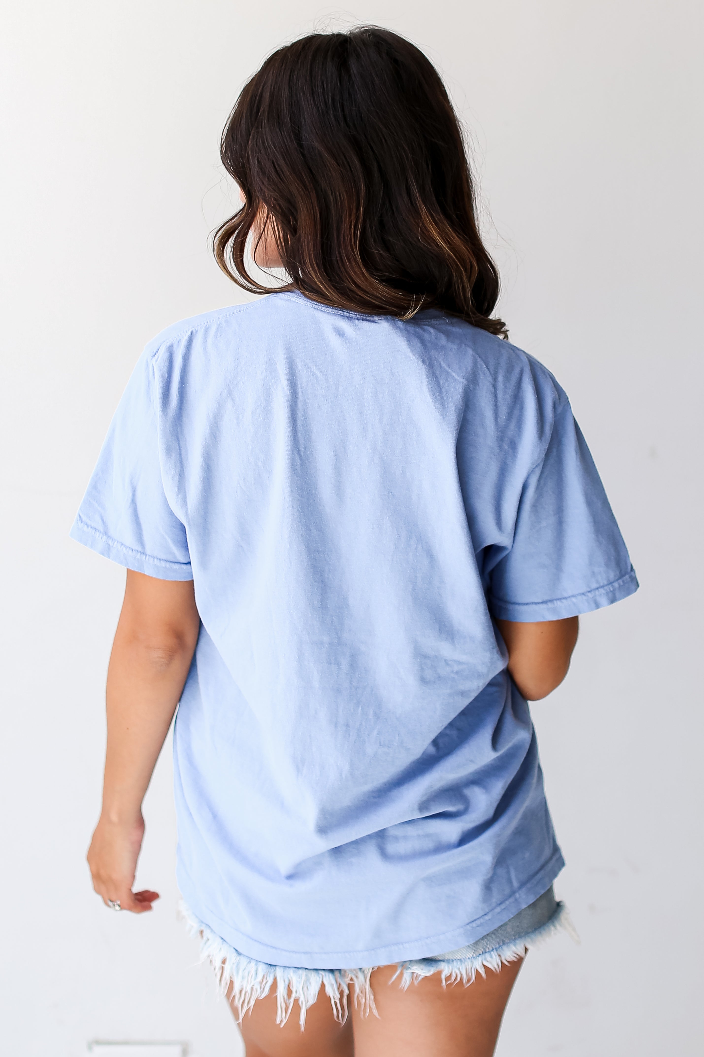 Light Blue Greenville South Carolina Tee back view