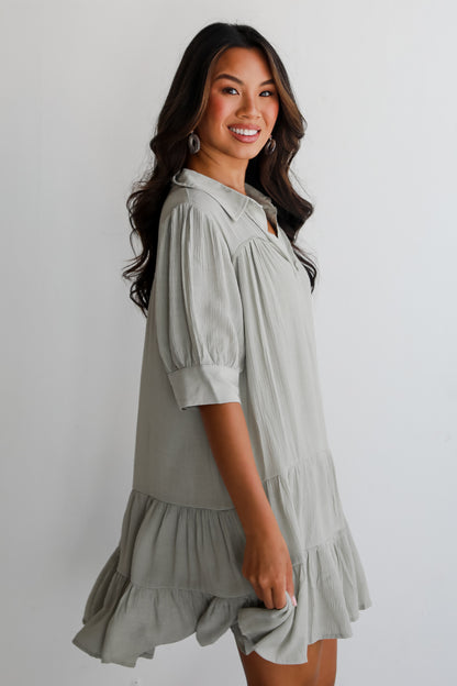 Enviable Sweetness Sage Mini Dress