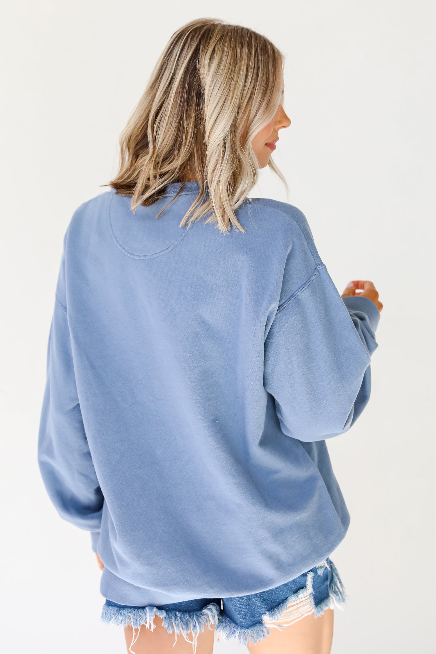 Light Blue Charleston South Carolina Pullover back view