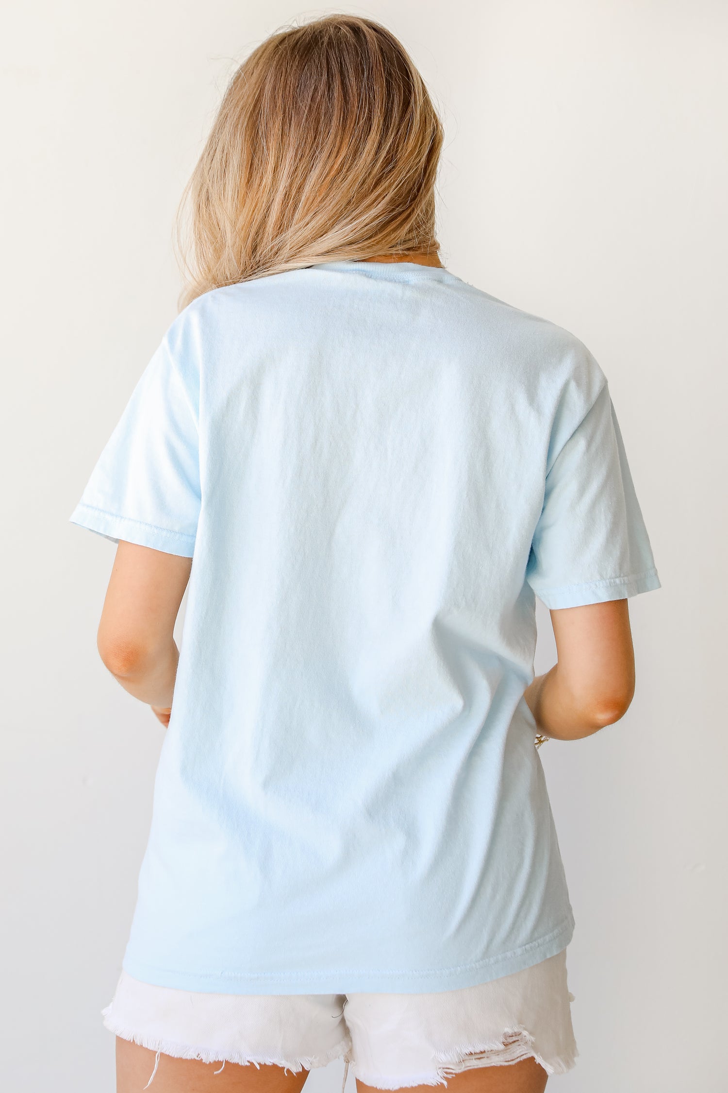 Light Blue Greenville South Carolina Tee back view